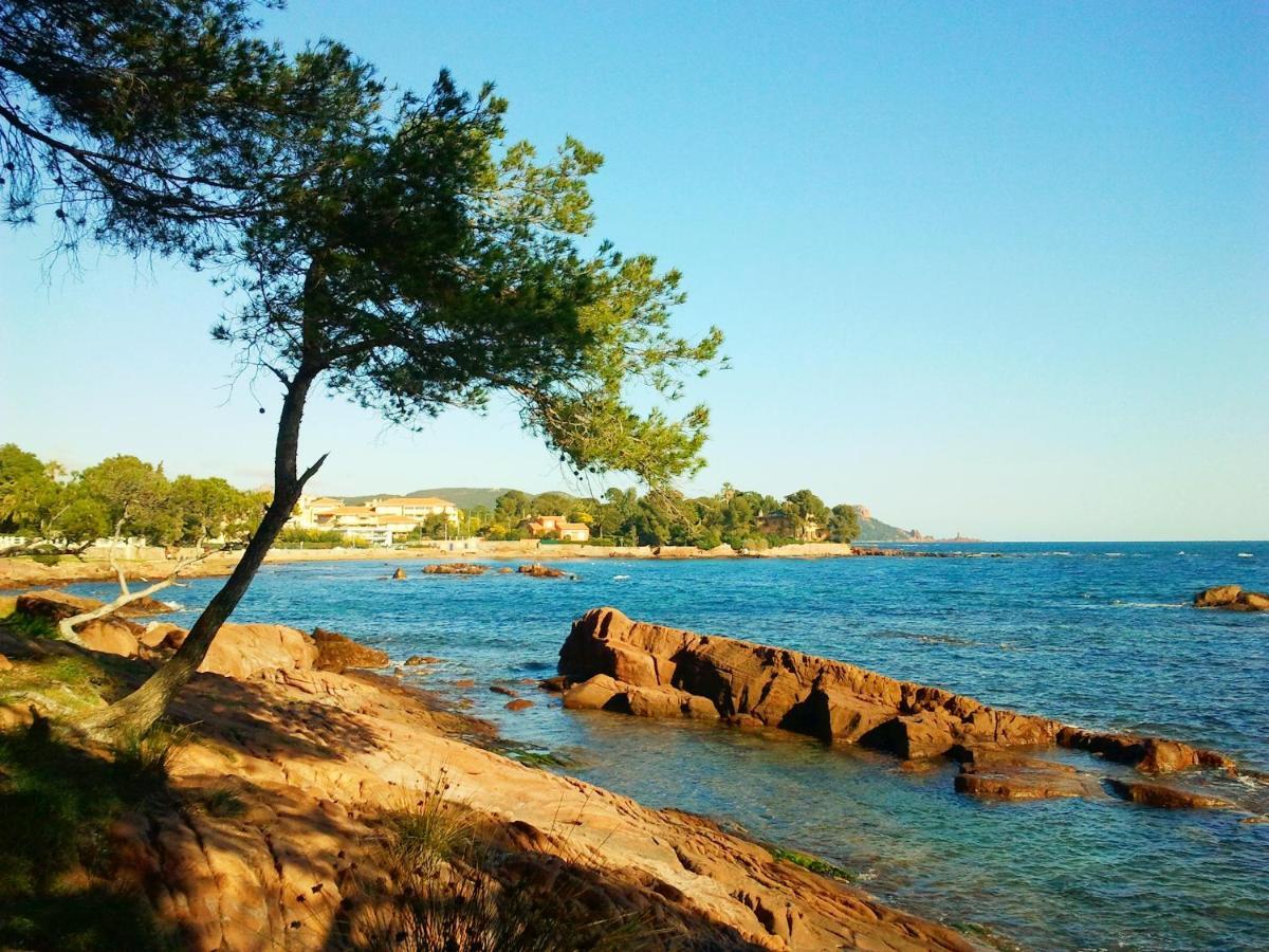 Residence Golfs De Valescure 9 Saint-Raphaël エクステリア 写真