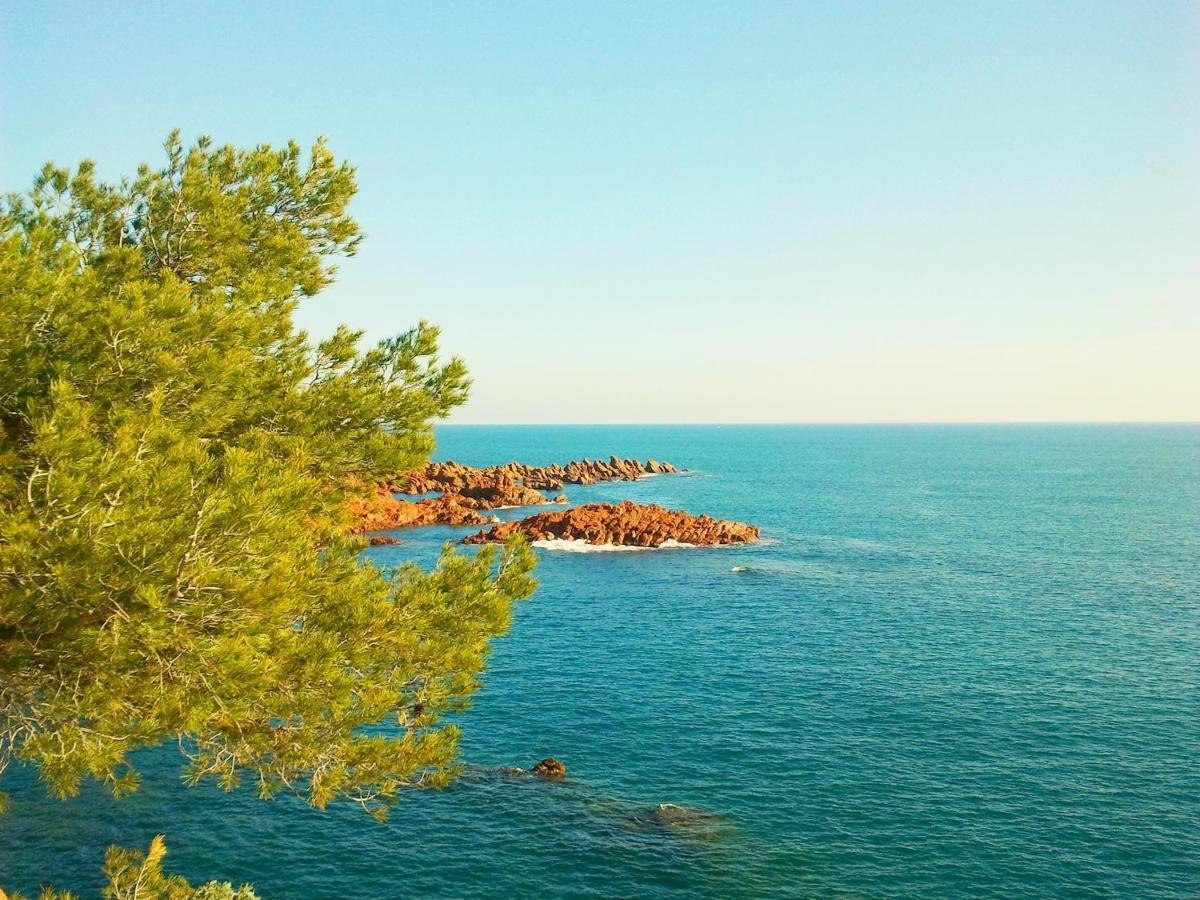 Residence Golfs De Valescure 9 Saint-Raphaël エクステリア 写真