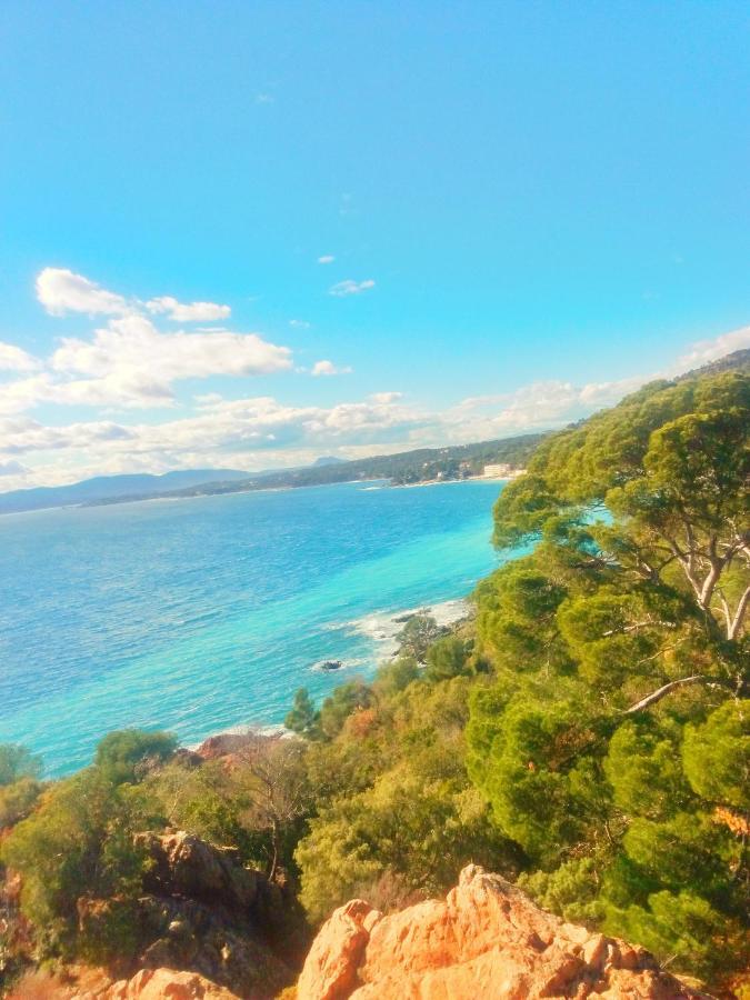 Residence Golfs De Valescure 9 Saint-Raphaël エクステリア 写真